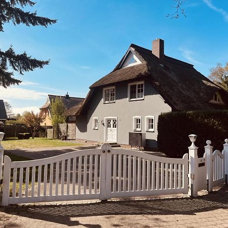 Ferienwohnung Lasse In Wieck Eksteriør billede